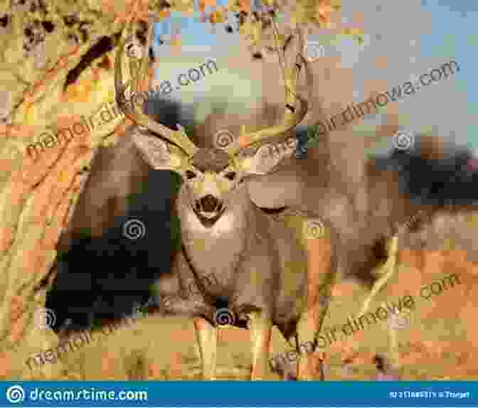 A Proud Hunter Stands Over His Impressive Buck, Displaying The Satisfaction And Accomplishment That Comes With A Successful Hunt. True Deer Hunting Stories Volume 2