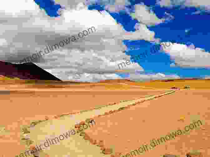 Anya Standing Alone In The Vast Expanse Of The Atacama Desert SOUTH AMERICA ON THE KID S INHERITENCE