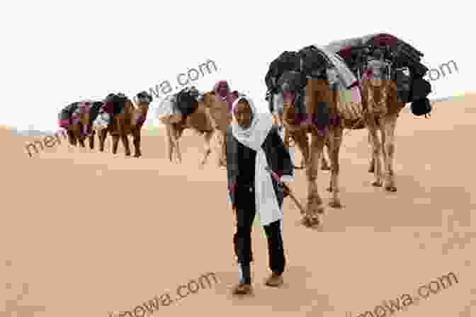 Bedouin Traversing The Desert On Camels Travels In Arabia Deserta (Volume 2)