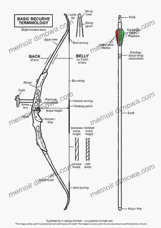 Diagram Of An Archery Bow And Arrow A Beginners Guide To Archery Form