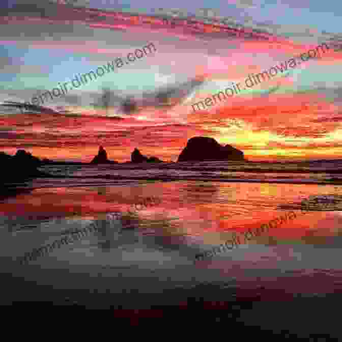 Golden Sunset Over The Oregon Coast West Coast States Adrian Beckingham