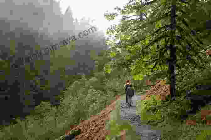 Hikers On Eagle Creek Trail Surrounded By Lush Greenery Day Hiking Columbia River Gorge: National Scenic Area/Silver Star Scenic Area/Portland Vancouver To The Dalles