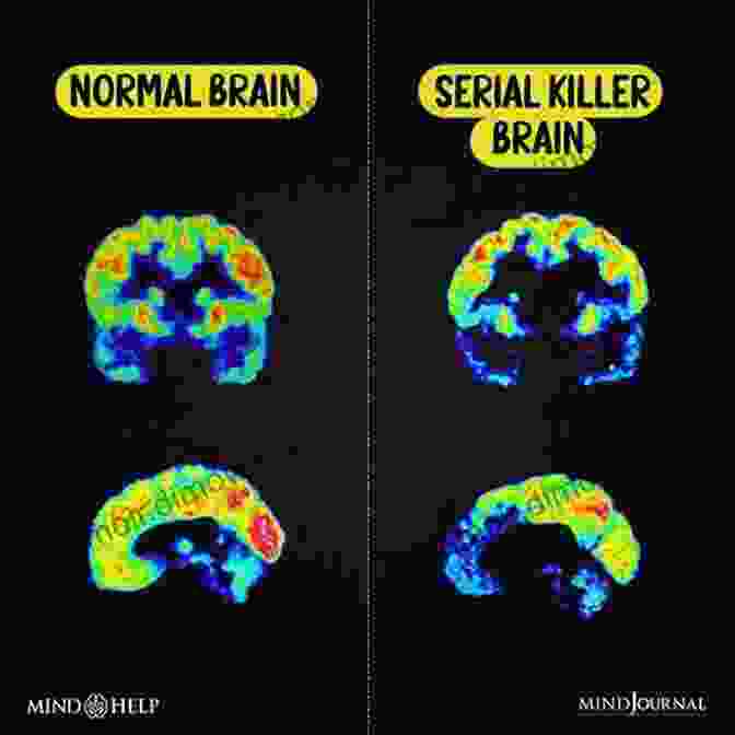 Infographic Showcasing The Psychological Traits And Behavioral Patterns Of Serial Killers Serial Killers (Criminal Investigations) Michael Newton