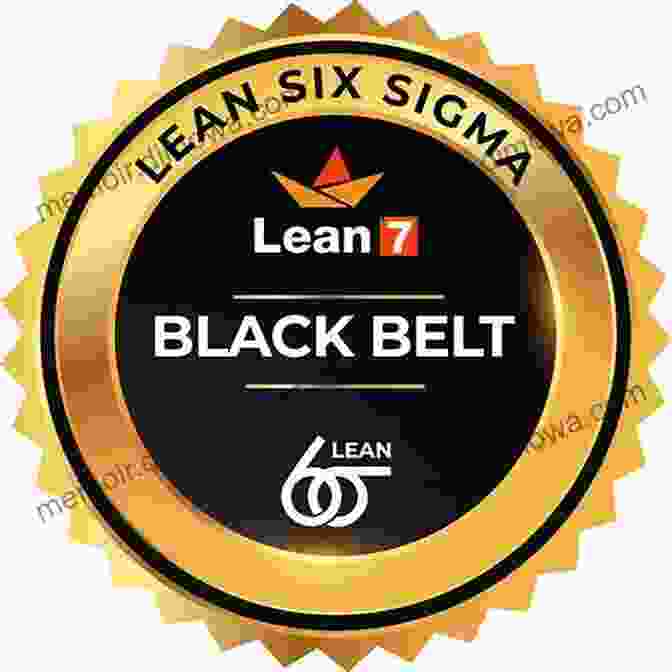 Lessons, Wit, And Wisdom Of A Lean Six Sigma Master Black Belt Everything Is A Process: Lessons Wit And Wisdom Of A Lean Six Sigma Master Black Belt