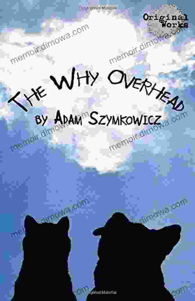 The Why Overhead The Why Overhead Adam Szymkowicz