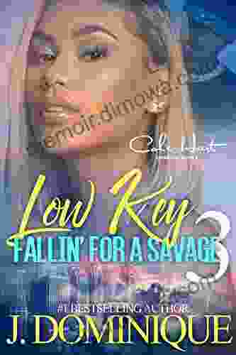 Low Key Fallin For A Savage 3: An African American Women S Fiction: Finale