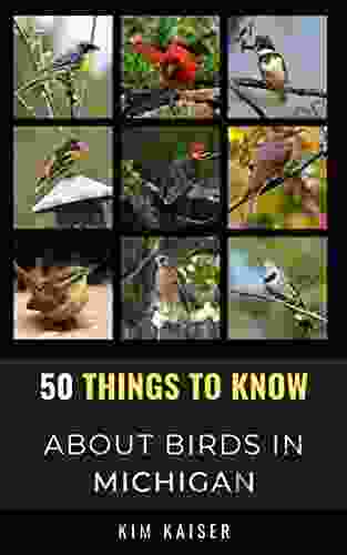 50 Things To Know About Birds In Michigan : Birding In The Great Lake State (50 Things To Know About Birds United States)