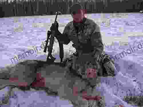 Hunting Trapping And Calling Wolves: Calling All Wolves: Here S How To Trap Snare Call And Hunt North America S Largest Canine