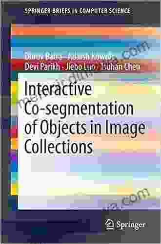 Interactive Co Segmentation Of Objects In Image Collections (SpringerBriefs In Computer Science)