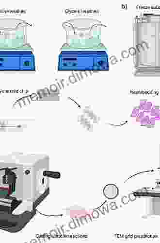 Specimen Preparation For Transmission Electron Microscopy Of Materials (Royal Microscopical Society Microscopy Handbooks 3)