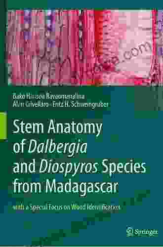 Stem Anatomy Of Dalbergia And Diospyros Species From Madagascar: With A Special Focus On Wood Identification