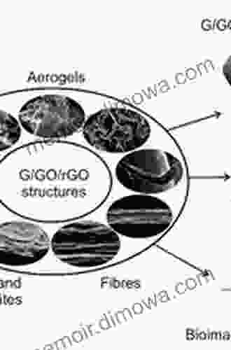 Studies on Graphene Based Nanomaterials for Biomedical Applications (Springer Theses)