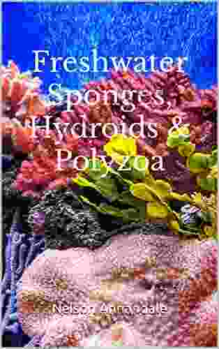 Freshwater Sponges Hydroids Polyzoa (Illustrated)